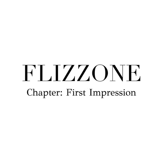 FLIZZONE: FIRST IMPRESSION -  flizzone
